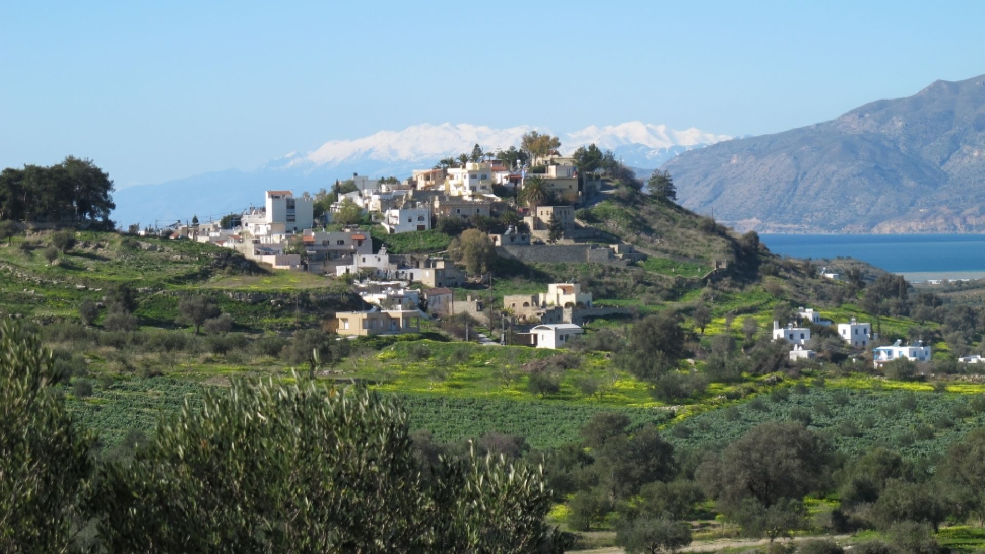 Kamilari